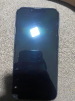 Apple iPhone 13 Pro 256 GB