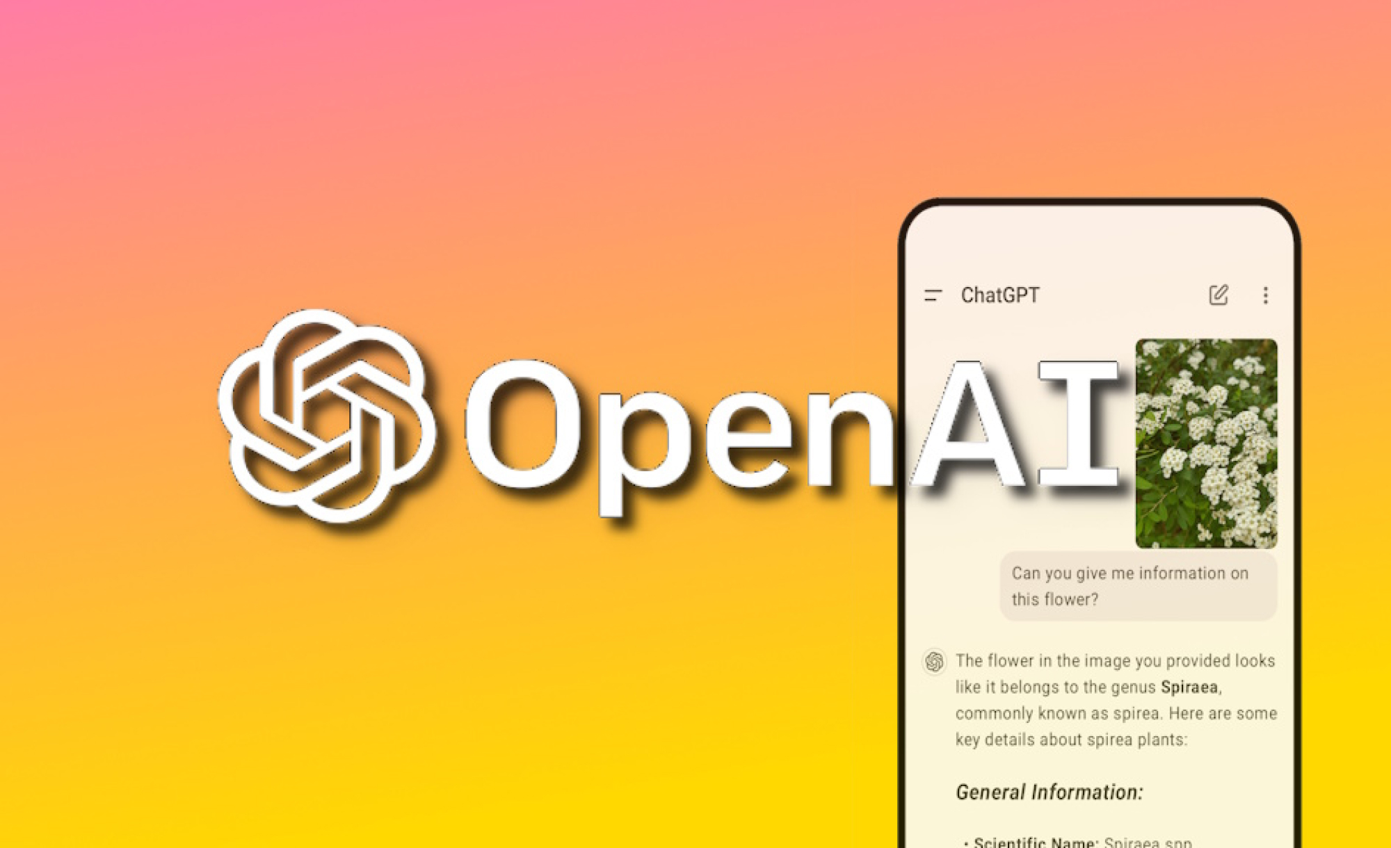 Chat-GPT-Pro-Introduced-The-Most-Advanced-AI-with-the-New-o1-pro
